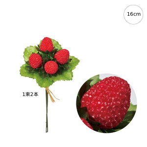 y5{ZbgzChXgx[sbN (16cm) Xgx[ HiTv ʕ  t[c xW^u