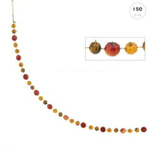 y݌Ɍzy5{ZbgzynEB zpvLK[h(150cm) nEB H  fBXvC X CeA  IV L  킢