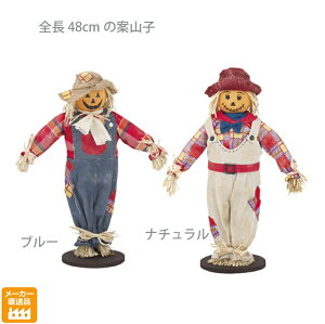 y݌ɌzĎRqi48cmj c X CeA H u fBXvC  AW 