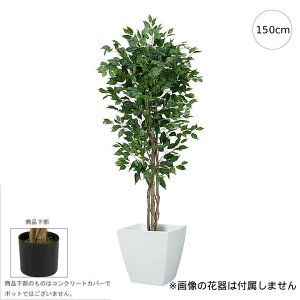 tBJX c[ (150cm) ^ i` tFCNO[ [t  A[gO[ _ interior lH Xܑ fBXvC CeA ^TCY