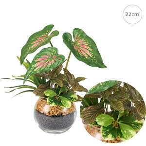 yVz~bNX[tEhOX (H22cm)  lHϗtA  tFCNO[ t ϗtA Ǌ|  ݂艺 Vv _  A