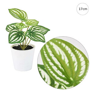 y3Zbgzyy~Av`|bg(17cm) lHϗtA  tFCNO[ t ϗtA Ǌ|  AW NIeB[ 