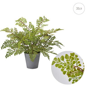 yVzAWA^|bg (H30cm) lHϗtA  tFCNO[ t ϗtA Ǌ| CeA 炢 lC i _