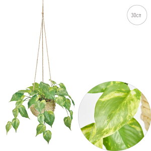 yVztbV|gXnMO (30cm) lHϗtA  tFCNO[ t ϗtA Ǌ|  ݂艺