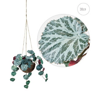 yVzLmV^nMO (30cm) lHϗtA  tFCNO[ t L G} CTG} ϗtA Ǌ|  ݂艺