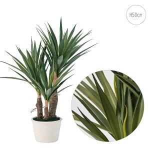 yVzbJ~j|bg (H50cm) lHϗtA  tFCNO[ t ϗtA CeA Vv b炸