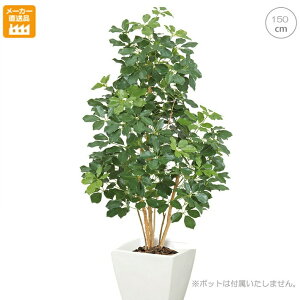 v~AJ|bNc[ (150cm) ϗtA  ^q` 썑  ^ CeA lH tFCNO[ ͗lւ  _ Vv X fBXvC JtF C_XgA 