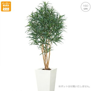 hZic[ (160cm) ϗtA ͎R ^q` 썑 ^ CeA lH tFCN ͗lւ  _ Vv X fBXvC JtF C_XgA q K 