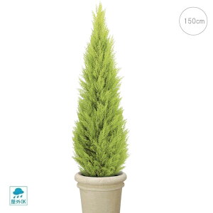 y1{ׁzyOzS[hNXgc[ (150cm) ϗtA  ^q` 썑  ϗtA ^ CeA lH tFCN ͗lւ  _ Vv X fBXvC J