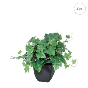 y2ZbgzO[v[t~jvg (H30cm) lHϗtA  tFCNO[ t ϗtA Ǌ|  ݂艺 AW A b炸