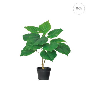 Ex[^~jvg (H40cm) lHϗtA  tFCNO[ t ϗtA Ǌ|  ݂艺 AW CeA Vv _