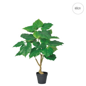 Ex[^vg (H60cm) lHϗtA  tFCNO[ t ϗtA Ǌ|  ݂艺 CeA b炸