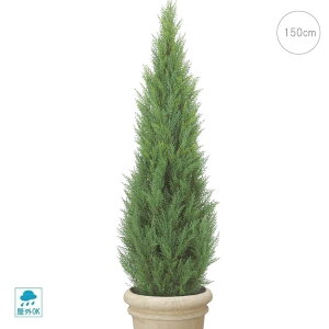 yOgpzNXgc[ (150cm) ϗtA  ^q` 썑  ϗtA ^ CeA lH tFCN ͗lւ  _ Vv X fBXvC JtF C_XgA