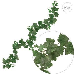 y2{ZbgzyϗtA ԁztXgO[vK[h A i Xܑ CeAfBXvC G  Cxg  ϗtA A[gO[ A AW ǖʑ 