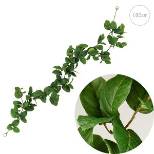 y߁z[tK[h (180cm) lHϗtA  tFCNO[ t A i ϗtA Ǌ|  ݂艺 A AW ǖʑ Be p[c t V[E