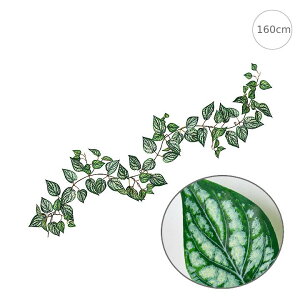 yOzy2{ZbgzGNXeAhXJYK[h (160cm) (Odl) tFCNO[  Xܑ CeA fBXvC G  Cxg  ϗtA A[gO