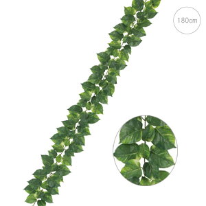 y2{Zbgzv~A|gXK[h (180cm) (Odl) tFCNO[  Xܑ CeAfBXvC G  Cxg ϗtA A[gO[ A AW ǖ