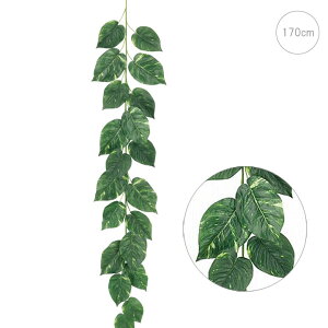 y2{Zbgzy߁zWCAg|gXK[h( C[)( 170cm)  tFCNO[ Xܑ CeA fBXvC  t ϗtA Ǌ|  ݂艺