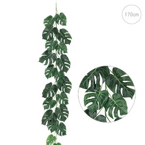 y2{ZbgzWCAgXvbgtB[K[h( C[)( 170cm)tFCNO[ Xܑ CeA fBXvC  t ϗtA Ǌ|  ݂艺