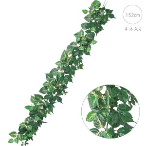 yēׁz~bNX[tK[h (152cm) (3{) tFCNO[  Xܑ CeAfBXvC G  Cxg ϗtA A[gO[ A AW ǖʑ Be