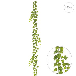 y3{ZbgzyOdlzEH[^[v[t|gXK[h (180cm) (Odl) tFCNO[  Xܑ CeA fBXvC G  Cxg ϗtA A[gO[