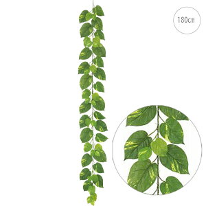 y2{Zbgzy݌ɌzfbNX|gXK[h (180cm) (Odl) tFCNO[  Xܑ CeA fBXvC G  Cxg  ϗtA A[gO[