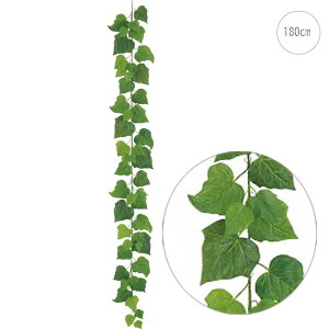 y2{ZbgzfbNXACr[K[h (180cm) (Odl) tFCNO[  Xܑ CeA fBXvC G  Cxg  ϗtA A[gO[