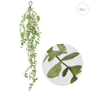 y3{Zbgz[J OoC (70cm) tFCNO[  Xܑ CeA A i fBXvC G  Cxg ϗtA A[gO[ AW ǖ