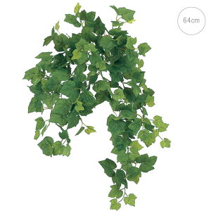 G}O[vACr[oC (64cm) tFCNO[ Xܑ CeAfBXvC G  Cxg   ϗtA A[gO[