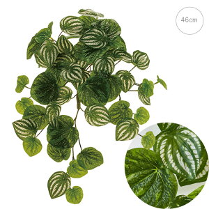 yy~AJy[^oC (46cm) tFCNO[  A i Xܑ CeAfBXvC G  Cxg   ϗtA A[gO[