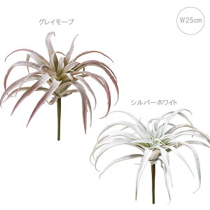 yeF2Zbgzy AztbLAeBWA (W25cm) Xܑ CeAfBXvC G  Cxg   ϗtA A[gO[