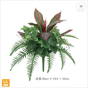 RfB[lA\[gubV(S50 )  ϗtA ubV u[P  o` Xܑ CeAO[ tFCNO[