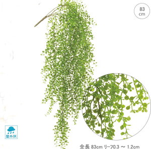 y2{ZbgzyOgpzt@C{bNXEbhoC (83cm) ϗtA tFCN  ^ lHϗtA A tFCNO[ A i