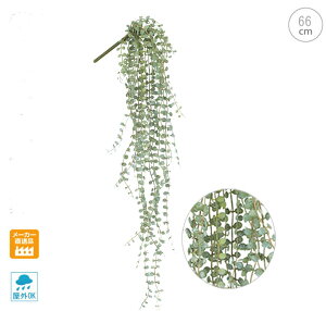 y3{ZbgztXg{^[toCivX`bN) (65cm) (Ogp)tFCNO[ ϗtA nMO Xܑ CeAO[  AW x_ ǖ