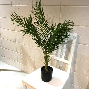 75cmAJp[c[/ϗtA CeA ^/tBJX/CeA/O[E}/lHϗtAE͗lւE^E//lH/_/Vv/X/fBXvC/