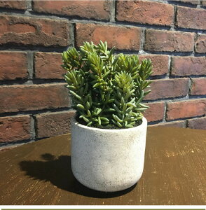 yVzZ_|bg (H23cm) CeA lH ϗtA  O[ Vv   AW _ b炸