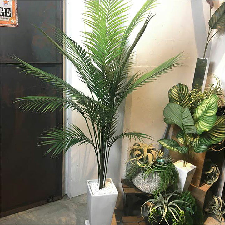 楽天市場 再入荷 観葉植物 フェイク 160cmアレカパームツリー インテリア 枝 シンプル カフェ ナチュラル 観葉植物 消臭 除菌 光触媒 無光触媒 観葉植物 モダン 大型 造花 人工観葉植物 人工 フェイクグリーン マリイソル楽天市場店