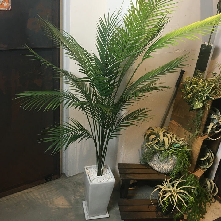 楽天市場 再入荷 観葉植物 フェイク 160cmアレカパームツリー インテリア 枝 シンプル カフェ ナチュラル 観葉植物 消臭 除菌 光触媒 無光触媒 観葉植物 モダン 大型 造花 人工観葉植物 人工 フェイクグリーン マリイソル楽天市場店