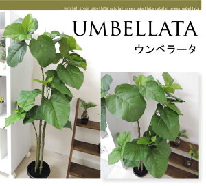観葉植物 葉っぱ 造花 アーティフィシャルフラワーの人気商品 通販 価格比較 価格 Com