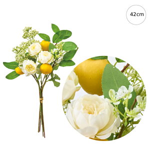 VgXioh (42cm) VgX  iLX CeA } ϗtA  썑  IuWF  ϗtA ^ CeA lH ͗l ^   lH _ 