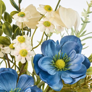 yeF2{ZbgzVr[Allu[P (L46cm)  H Xܑ CeAfBXvC G  Cxg   ϗtA A[gO[ ݃J[ hCt[ 