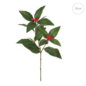 y zy3{Zbgz 痼Xv[ (39cm) } Xܑ CeA fBXvC  o    j