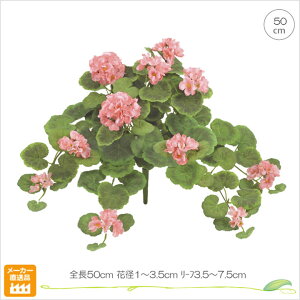 [jEubV(L) (sN) tFCNt[ CeA JtF 썑 _  lHϗtA X ItBX gsJ AW ؂₩