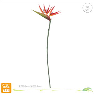 y5{Zbgzp_CXXg`A (92cm)  tFCN Xg`A 썑  CeA JtF ][g _ gsJ ĉo AW