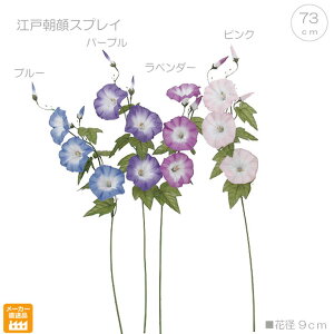 yeF10{Zbgzy ԁz ]˒XvC (73cm)  lH ϗtA a CeA t[ AW Vv fBXvC b炸