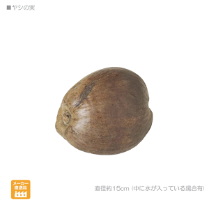 y2ZbgzgsJV̎iC  CeA X j