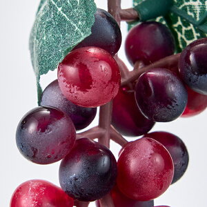 y3ZbgzeO[v~j (8cm) HiT v Lb` CeA tFCN t[h oii X 