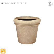 楽天市場】セラポットの通販
