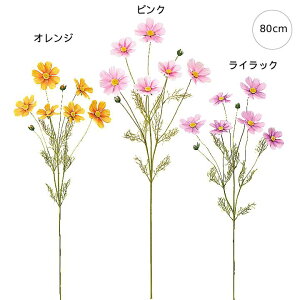 yeF3{Zbgzy RXXzORXX (80cm) CeA u[P t[ AWg p[c ^   I tFCN ݃J[ i`