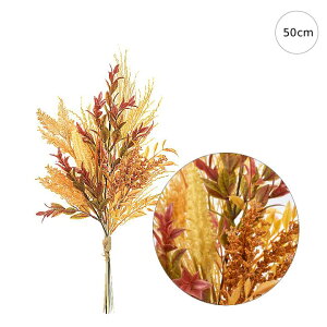 y3{ZbgzEH[[hOXu[P (50cm) H u[P   Xܑ CeAfBXvC G o  Cxg   ϗtA A[gO[ ݃J[ i`